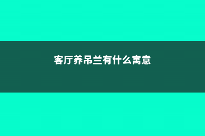 客厅别养吊兰了，这“4种”镇宅树，养一盆在家，开年行大运！ (客厅养吊兰有什么寓意)