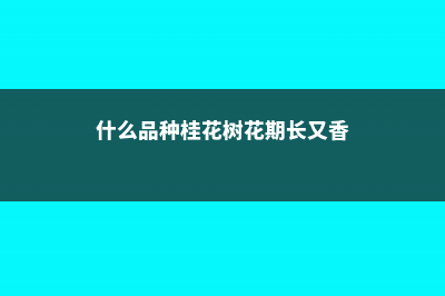 什么品种桂花长得快（有几种长得不高的品种） (什么品种桂花树花期长又香)