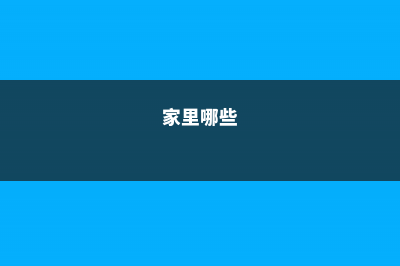 家里这“4种”花，养在半空中，省了大半儿地方！ (家里哪些)