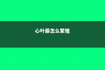 心叶藤太长能剪掉吗 (心叶藤怎么繁殖)