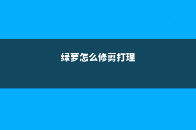 绿萝怎么修剪，怎么扦插 (绿萝怎么修剪打理)