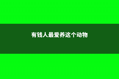 有钱人最爱养这“3种”树，摆家里绿油油，生活越过越好！ (有钱人最爱养这个动物)