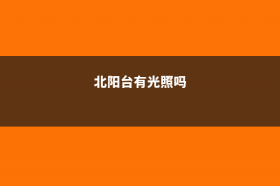 北阳台光照不好，养花怎么办？选这“5种”，阴凉地叶子也疯长！ (北阳台有光照吗)