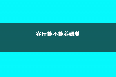 客厅里别养绿萝、发财树了！养这3种花多好，开花长满枝，喜庆！ (客厅能不能养绿萝)