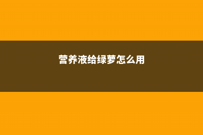 营养液给绿萝怎么使用（土培和水培使用方法） (营养液给绿萝怎么用)