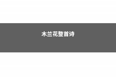 “木兰花”真好看，学会这“5点”，著名植物家里养！ (木兰花整首诗)