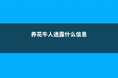 养花牛人透露，花别放这“3个”地方养，要不总是黄叶长不高！ (养花牛人透露什么信息)