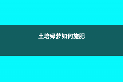 土培绿萝怎么用营养液，一次滴几滴 (土培绿萝如何施肥)