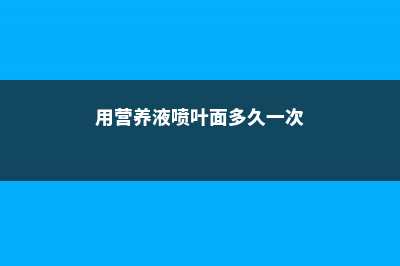 营养液喷叶还是浇土好（附常见植物的使用方法） (用营养液喷叶面多久一次)