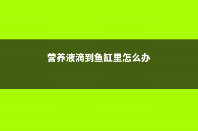 营养液可以滴到土里么，植物营养液几天喷一次 (营养液滴到鱼缸里怎么办)