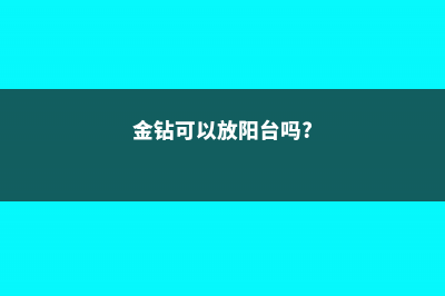 金钻能晒太阳吗，怕阳光吗 (金钻可以放阳台吗?)