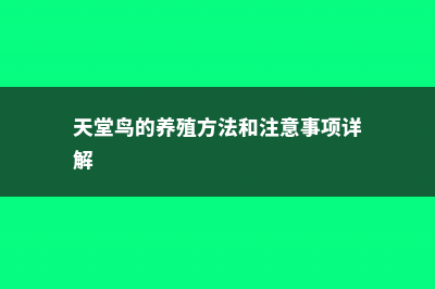 天堂鸟的养殖方法和注意事项 (天堂鸟的养殖方法和注意事项详解)