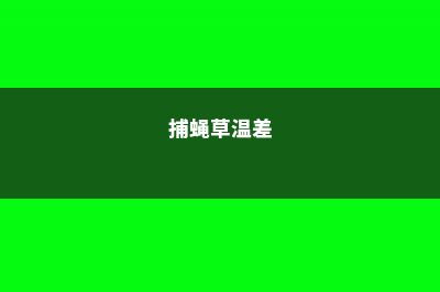 捕蝇草最低温度，冬天怎么养不会死 (捕蝇草温差)