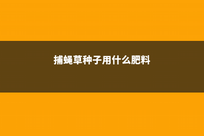 捕蝇草种子用什么土，什么时候种 (捕蝇草种子用什么肥料)