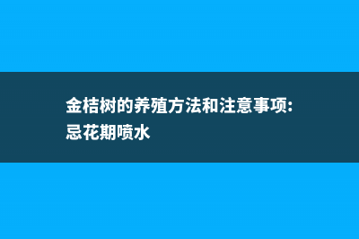 金桔树的养殖方法和注意事项 (金桔树的养殖方法和注意事项:忌花期喷水)