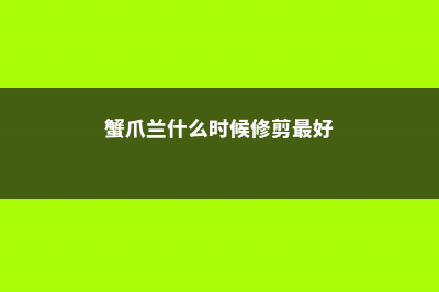 蟹爪兰什么时候修剪 (蟹爪兰什么时候修剪最好)