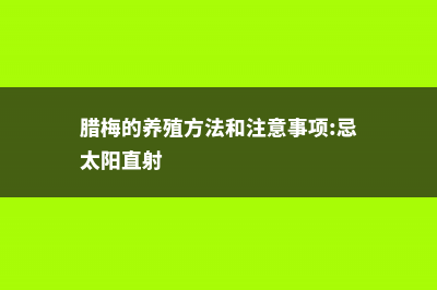 腊梅的养殖方法和注意事项 (腊梅的养殖方法和注意事项:忌太阳直射)