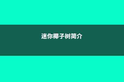 迷你椰子树的养殖方法和注意事项 (迷你椰子树简介)