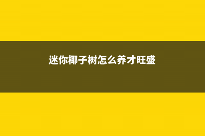 迷你椰子的养殖方法和注意事项 (迷你椰子树怎么养才旺盛)