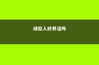 绿巨人的养殖的方法和注意的事项 (绿巨人好养活吗)