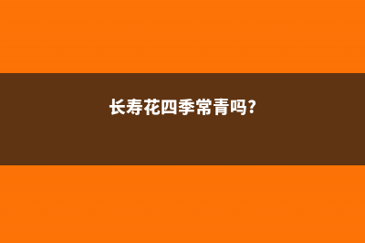 四季长寿花的养殖方法和注意事项 (长寿花四季常青吗?)