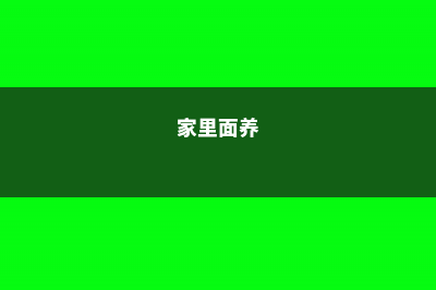 家里就养这“4种”花，空气干净没“病菌”，种上1盆保心安 (家里面养)