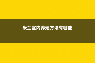 米兰室内养殖方法和注意事项 (米兰室内养殖方法有哪些)