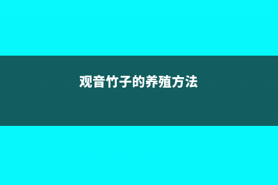 竹子的养殖方法和注意事项 (观音竹子的养殖方法)