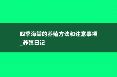 四季海棠的养殖方法和注意事项 (四季海棠的养殖方法和注意事项 养殖日记)