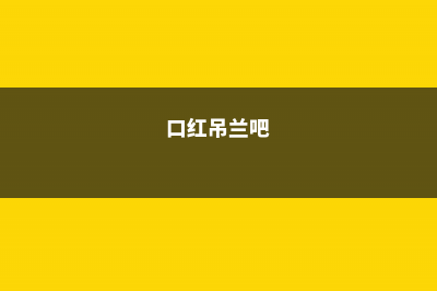 多肉口红吊兰的养殖方法和注意事项 (口红吊兰吧)