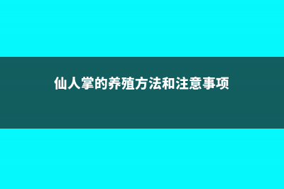 仙人掌的养殖方法和注意事项 (仙人掌的养殖方法和注意事项)