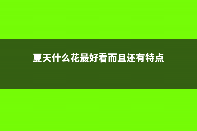 夏天什么花最好养 (夏天什么花最好看而且还有特点)