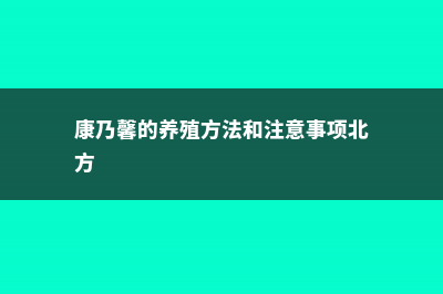 康乃馨的养殖方法 (康乃馨的养殖方法和注意事项北方)