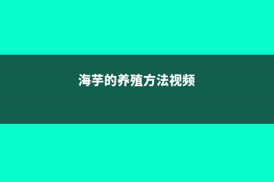 海芋的养殖方法和注意事项 (海芋的养殖方法视频)