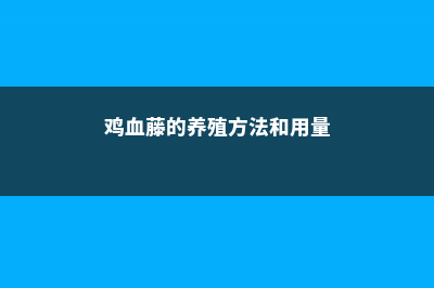 鸡血藤的养殖方法和注意事项 (鸡血藤的养殖方法和用量)