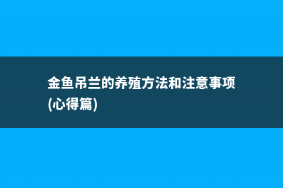 金鱼吊兰的养殖方法和注意事项 (金鱼吊兰的养殖方法和注意事项(心得篇))