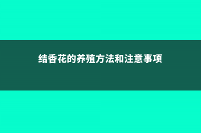 结香的养殖方法和注意事项 (结香花的养殖方法和注意事项)