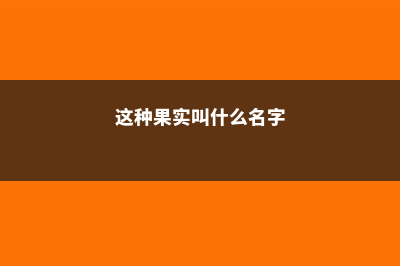 这“2种”果子，特受欢迎，养一盆在家，明年“金果子”挂满枝 (这种果实叫什么名字)