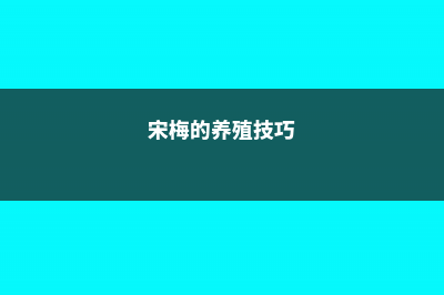 宋梅的养殖方法和注意事项 (宋梅的养殖技巧)