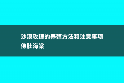 沙漠玫瑰的养殖方法和注意事项 (沙漠玫瑰的养殖方法和注意事项佛肚海棠)