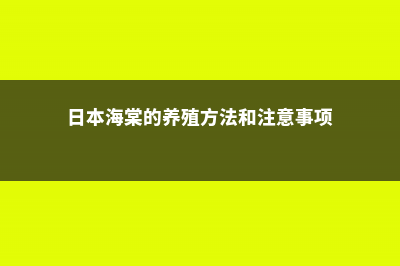 日本海棠的养殖方法和注意事项 (日本海棠的养殖方法和注意事项)