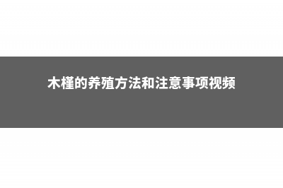 木槿的养殖方法和注意事项 (木槿的养殖方法和注意事项视频)