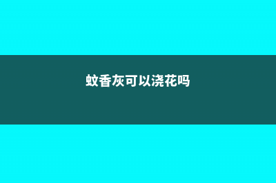 蚊香灰可以养花吗 (蚊香灰可以浇花吗)