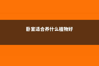 卧室最适合养这“3种”花，除菌去螨虫，入睡更健康！ (卧室适合养什么植物好)