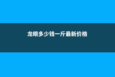 龙眼价格多少钱一斤 (龙眼多少钱一斤最新价格)