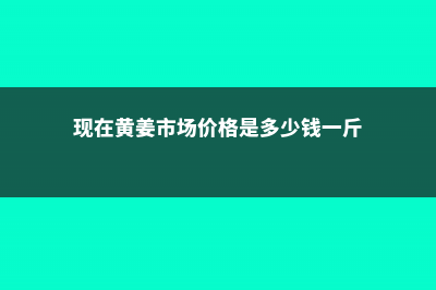 黄姜价格多少钱一斤 (现在黄姜市场价格是多少钱一斤)