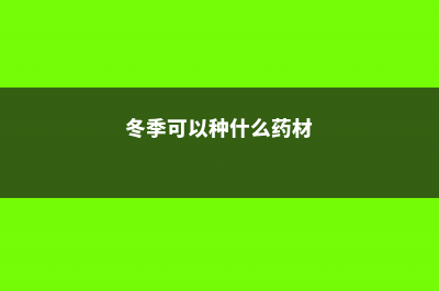 冬季可以种什么菜 (冬季可以种什么药材)