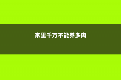 家里千万不能养的六种花 (家里千万不能养多肉)