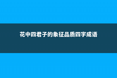 花中四君子的象征意义 (花中四君子的象征品质四字成语)