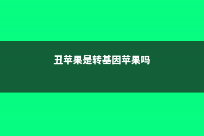 丑苹果是转基因吗，如何识别转基因苹果 (丑苹果是转基因苹果吗)